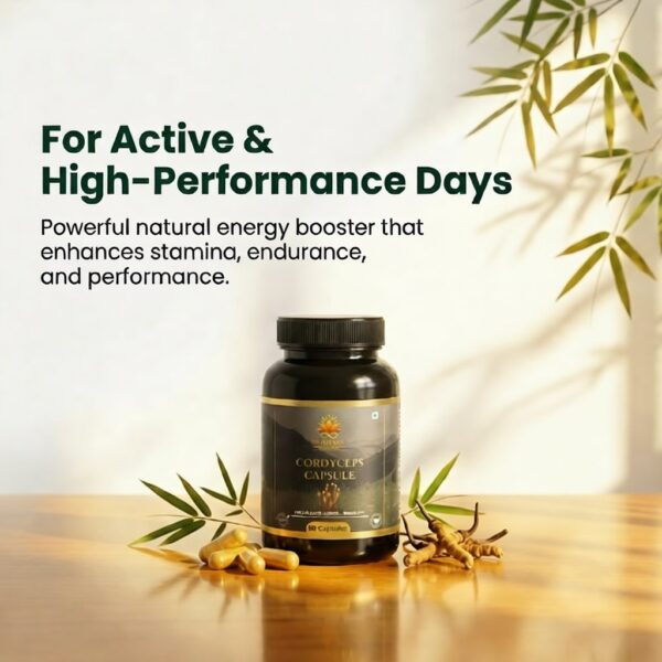 Humaniac Healers Cordyceps Capsule