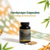Humaniac Healers Cordyceps Capsule