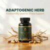 Humaniac Healers Ashwagandha Capsule
