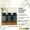 Daily Vitality Stack – Spirulina + Moringa + Ashwagandha