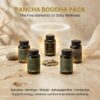 PANCHABOODHA PACK (5 Elements • 5 Capsules)