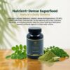 Humaniac Healers Moringa Capsule