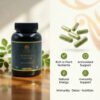 Humaniac Healers Moringa Capsule