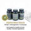 Alpha Max Stack – Shilajit + Ashwagandha + Cordyceps