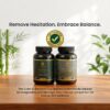 Calm & Balance Duo – Ashwagandha + Moringa