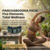 PANCHABOODHA PACK (5 Elements • 5 Capsules)
